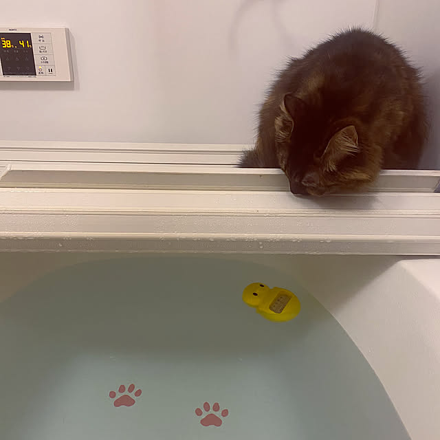 mikomaruさんの実例写真