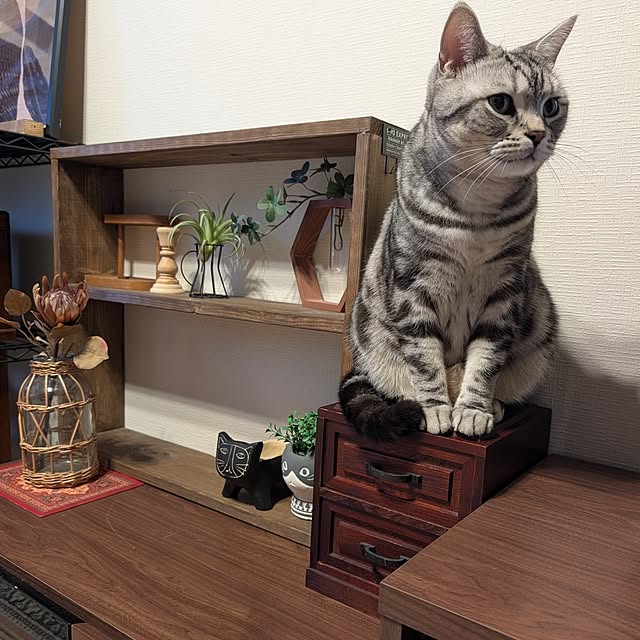 lovepeaceさんの部屋