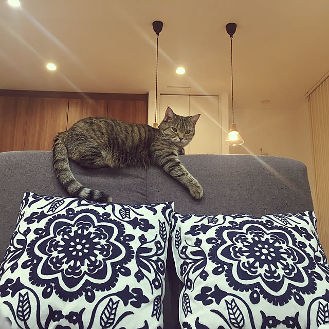 maro.kさんの実例写真