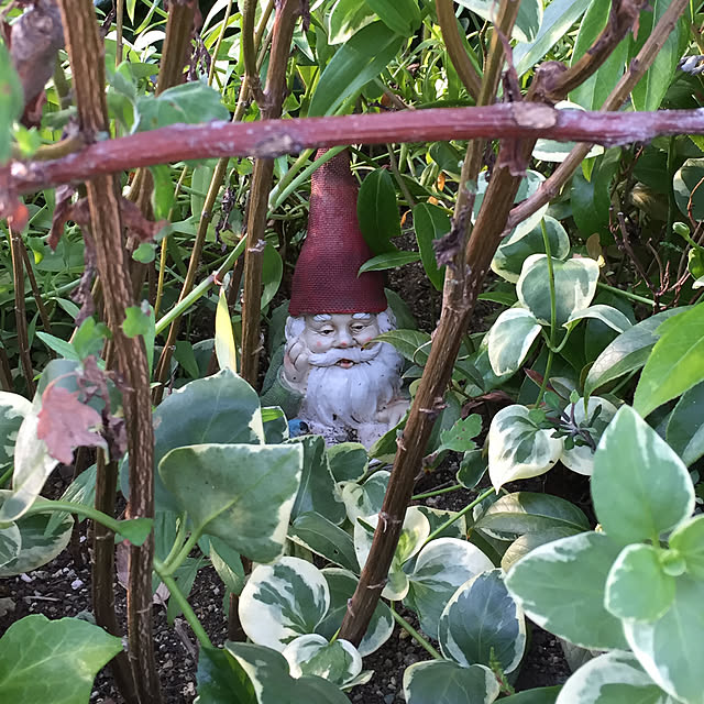 nonさんの実例写真