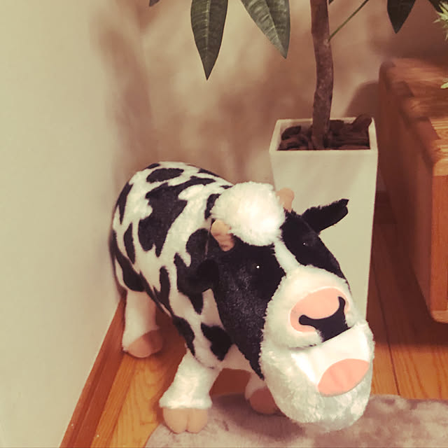 harukokoさんの実例写真