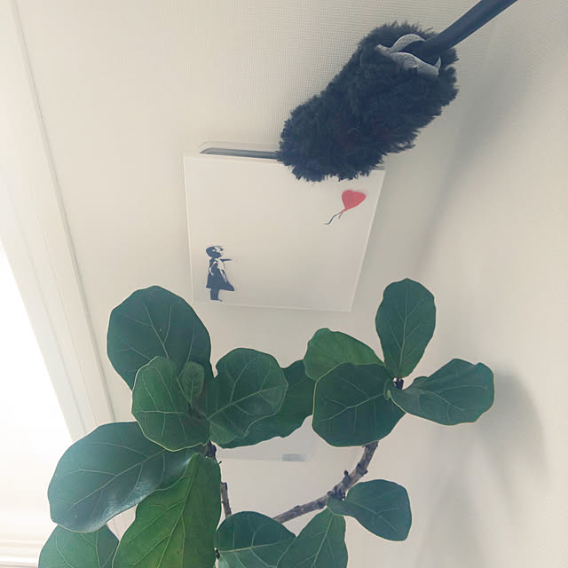 necoさんの実例写真