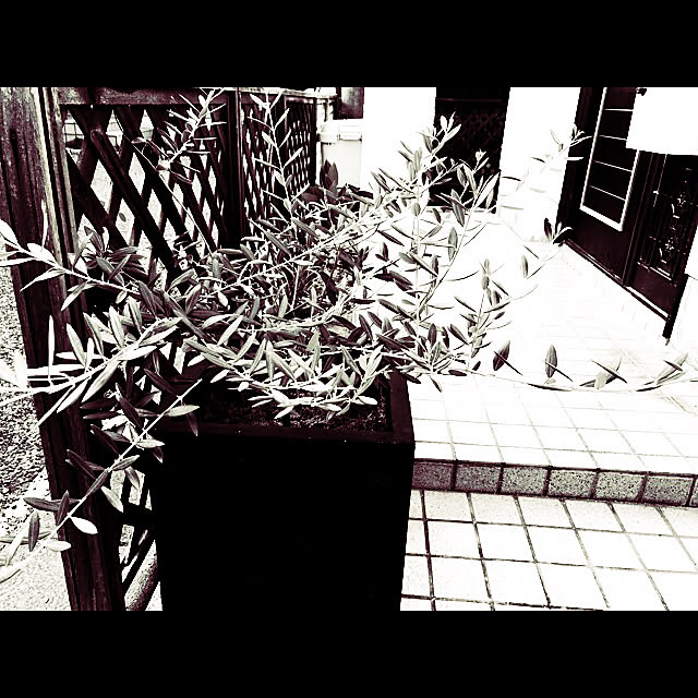 miiksさんの実例写真