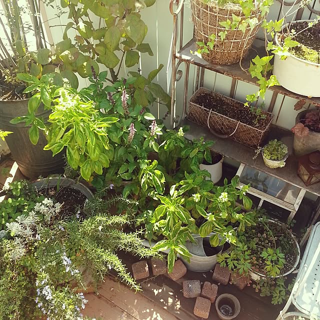 yururiragardenさんの実例写真