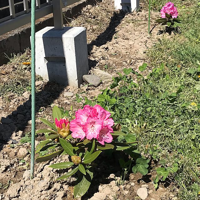 shi622さんの実例写真