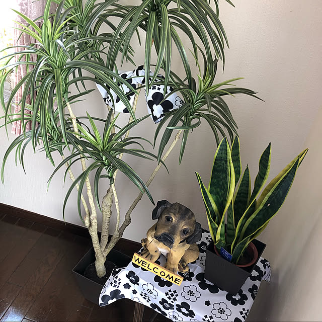 satooさんの実例写真