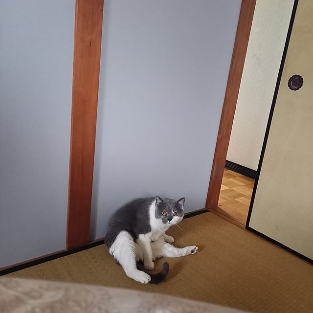 rhuさんの実例写真
