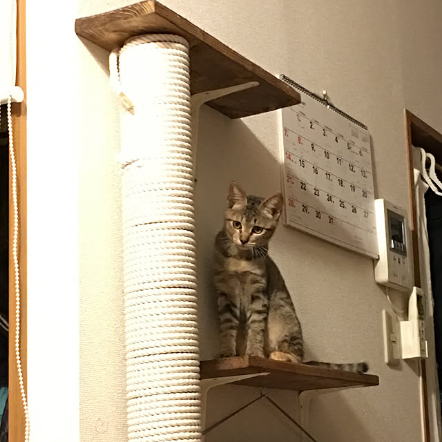 Rii..さんの実例写真