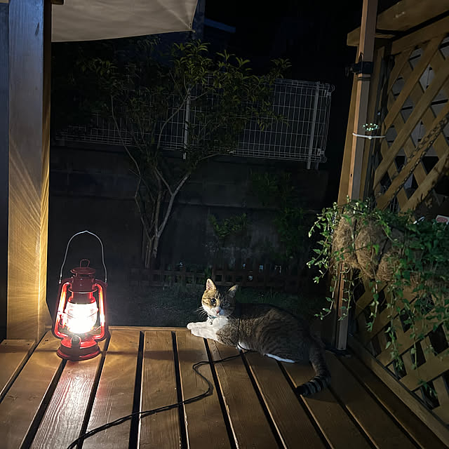 haruさんの実例写真