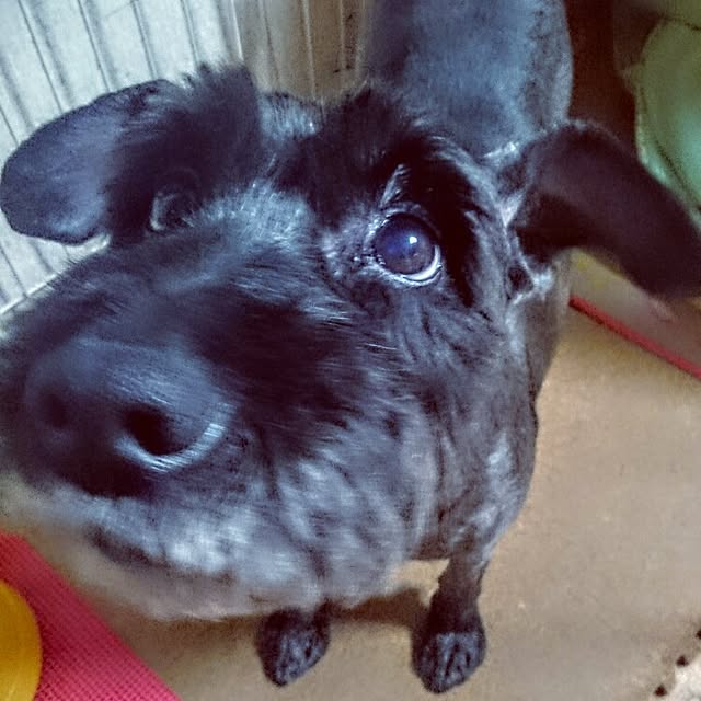 yutorogiさんの実例写真