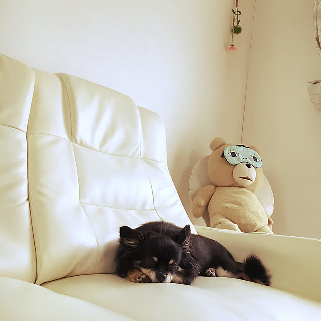 cocoさんの実例写真