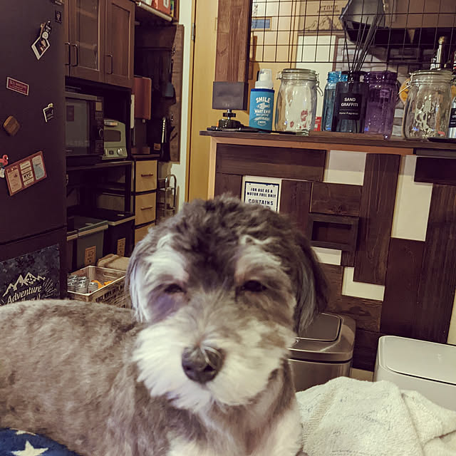 GINさんの実例写真