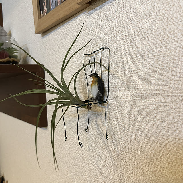 megmagさんの実例写真
