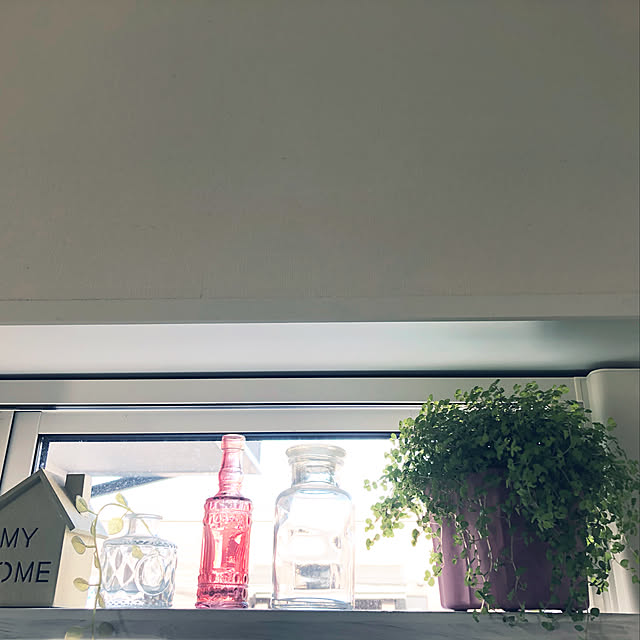 hameda0909さんの実例写真