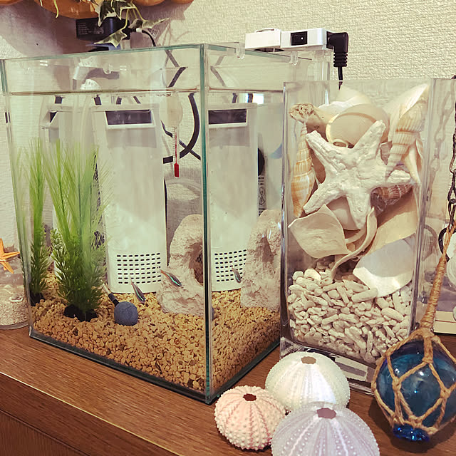 honpoさんの実例写真
