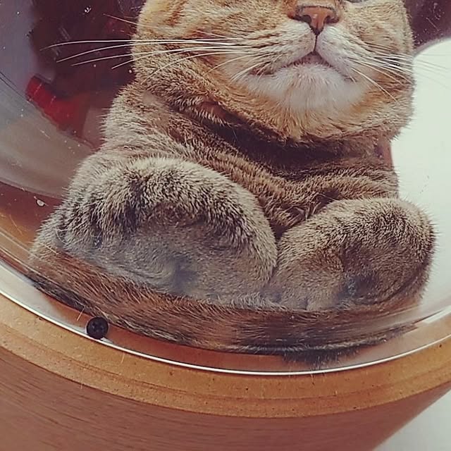 mochicoさんの部屋