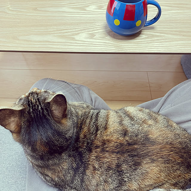 chiiさんの実例写真