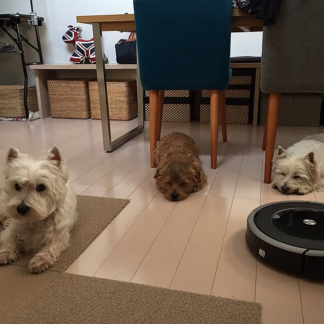 Fuyueさんの実例写真