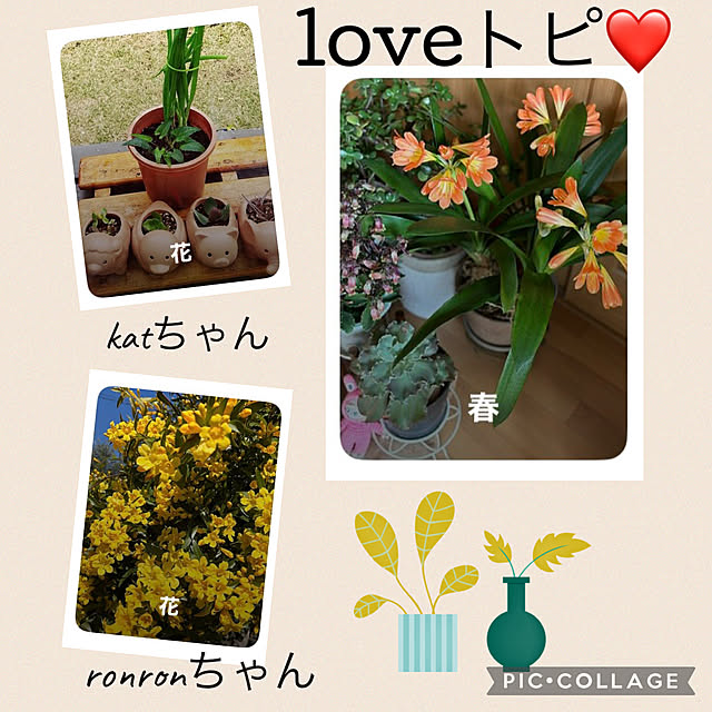 CoCo0617さんのお部屋の写真