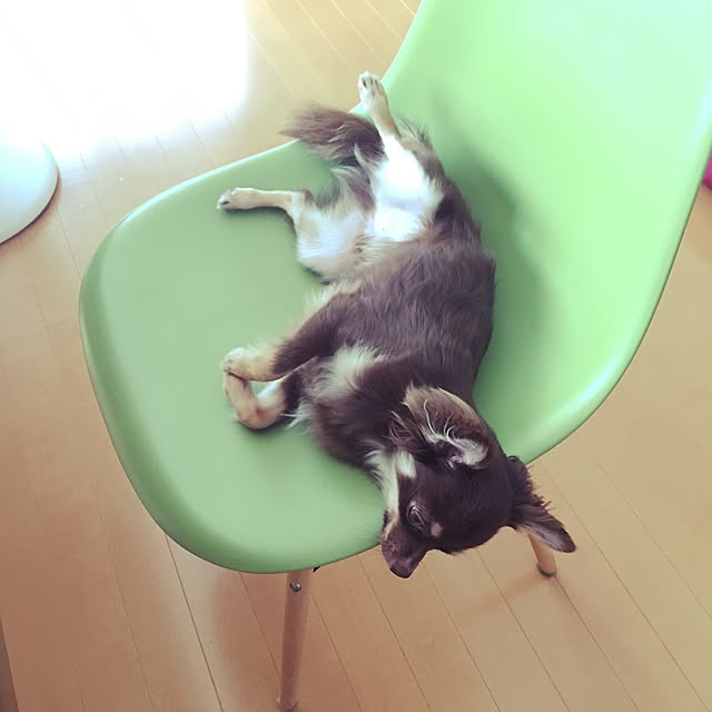 takaさんの実例写真