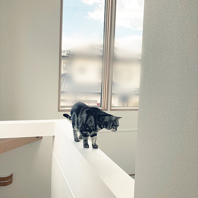 skyseaさんの実例写真