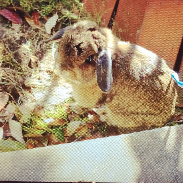 Arataさんの実例写真