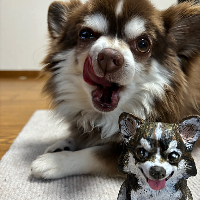 chIoeさんの部屋