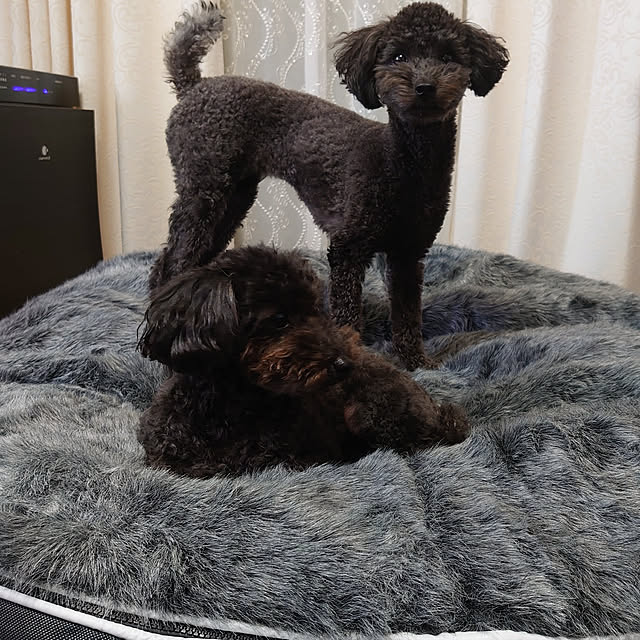 Rikoさんの実例写真