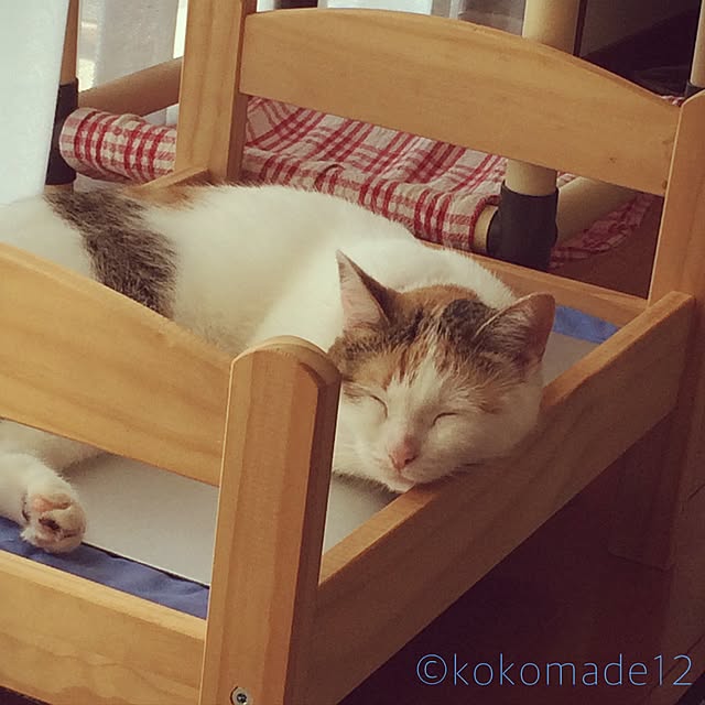 kokomadeさんの実例写真