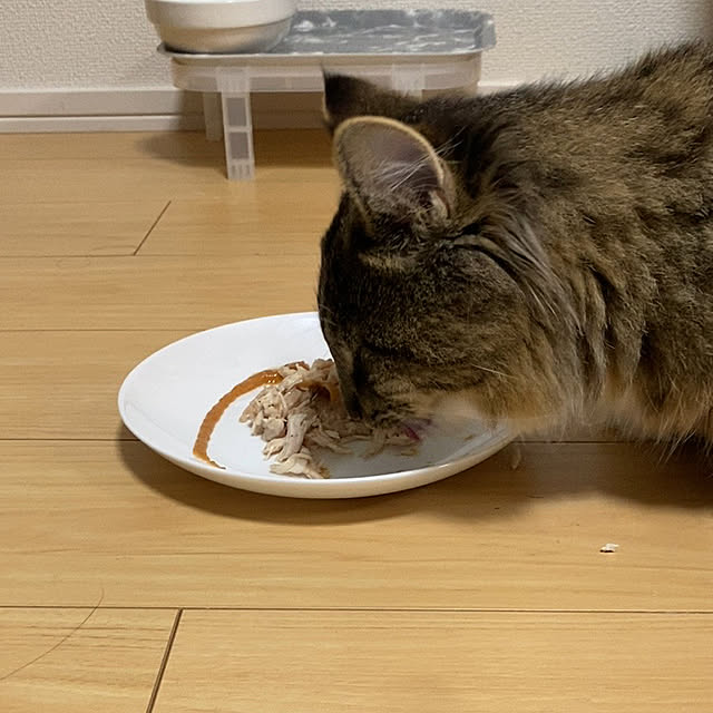 sh.0514さんの実例写真