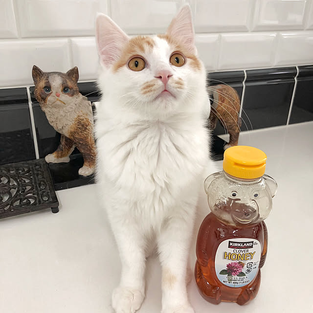 yuchiさんの実例写真
