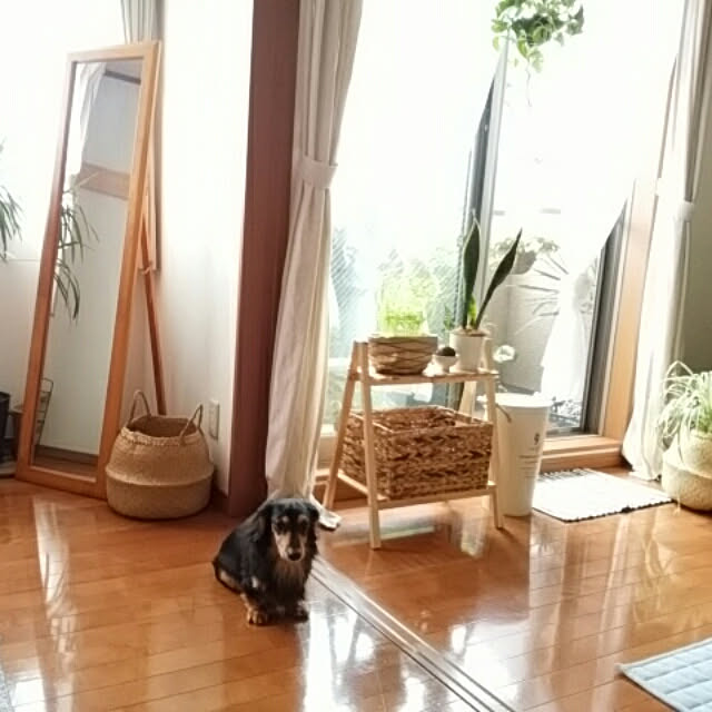 reonさんの実例写真