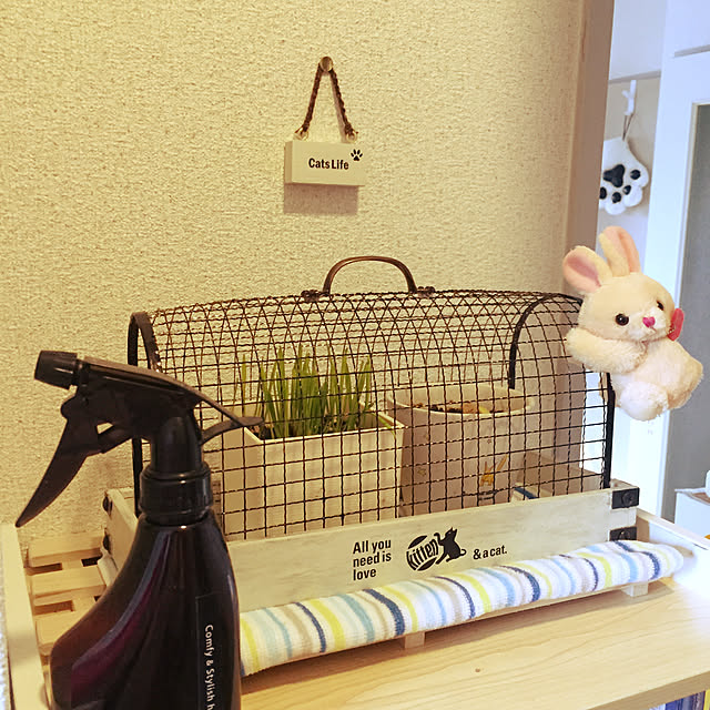 soraさんの実例写真