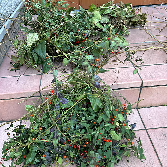 fumikoiさんの部屋