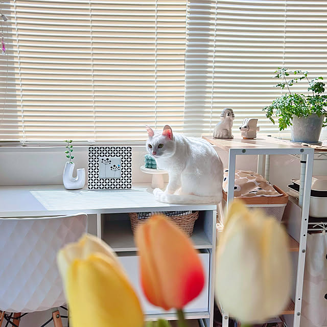 Miyu_さんの部屋