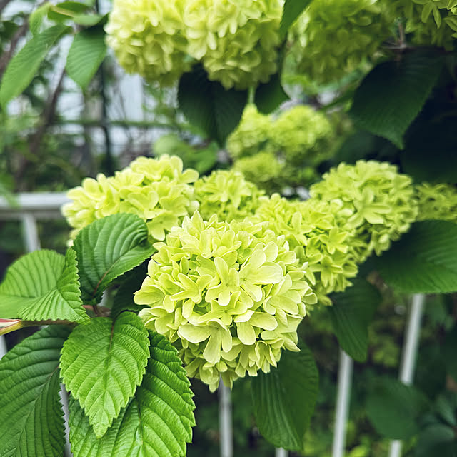 miyupannaさんの部屋