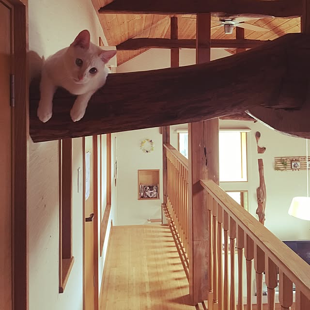 minamikazeさんの実例写真