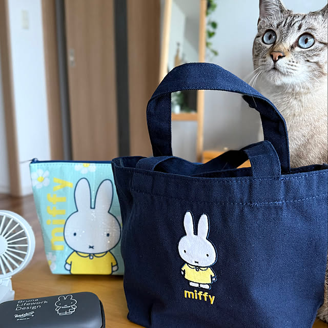 amさんの実例写真