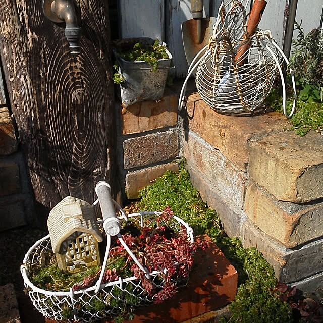 mikiさんの実例写真