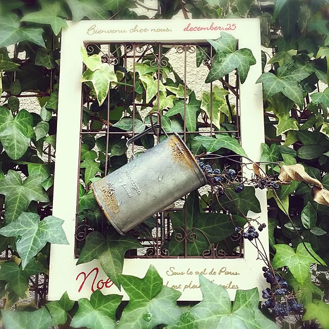 MAKIさんの実例写真