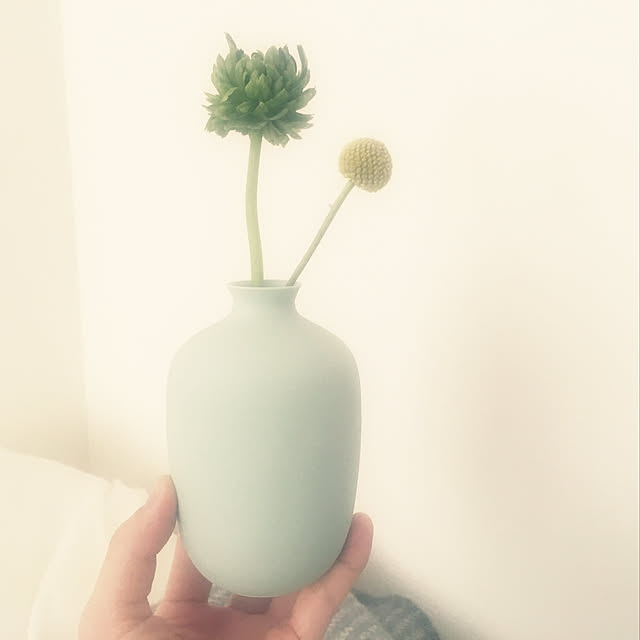waterliliさんの実例写真