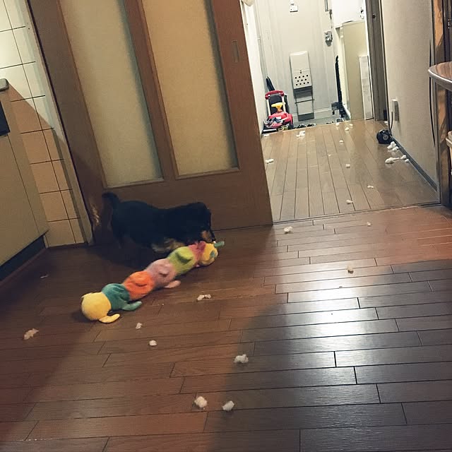 ohanaさんの実例写真