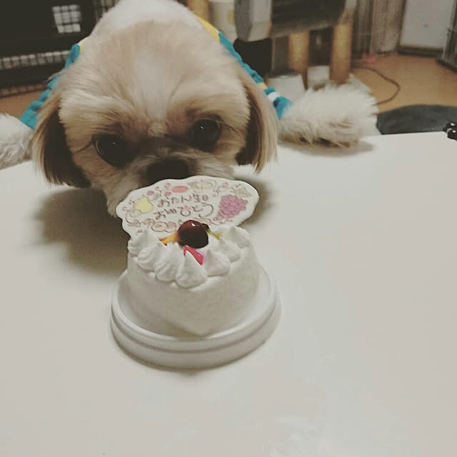 ronさんの実例写真