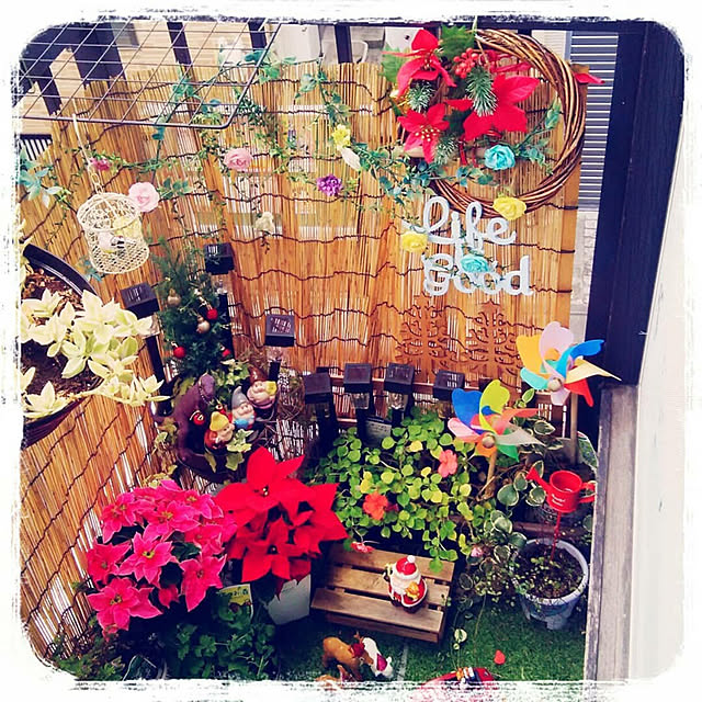 minaさんの実例写真