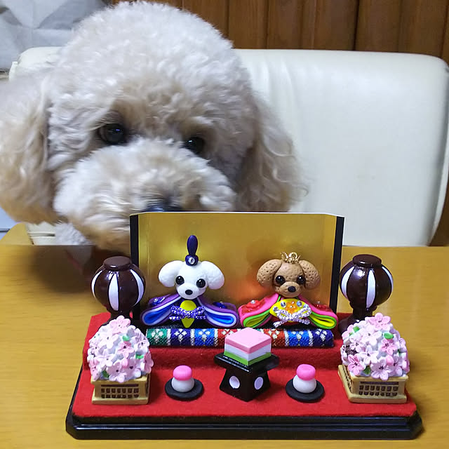 yumirinさんの実例写真