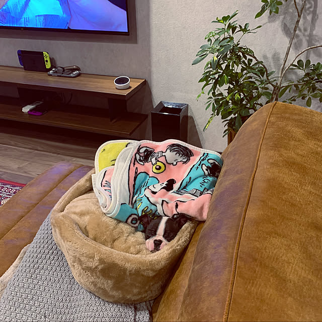 gorillanoyomeさんの実例写真