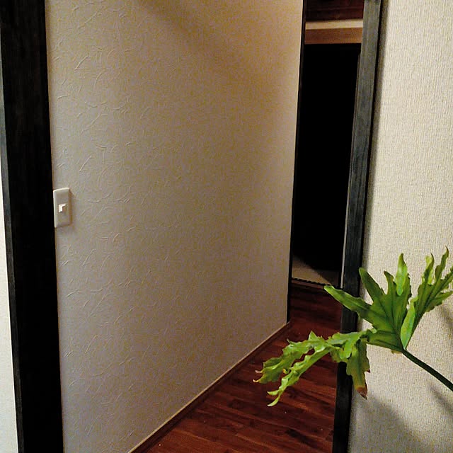 shusen.miyaさんの実例写真