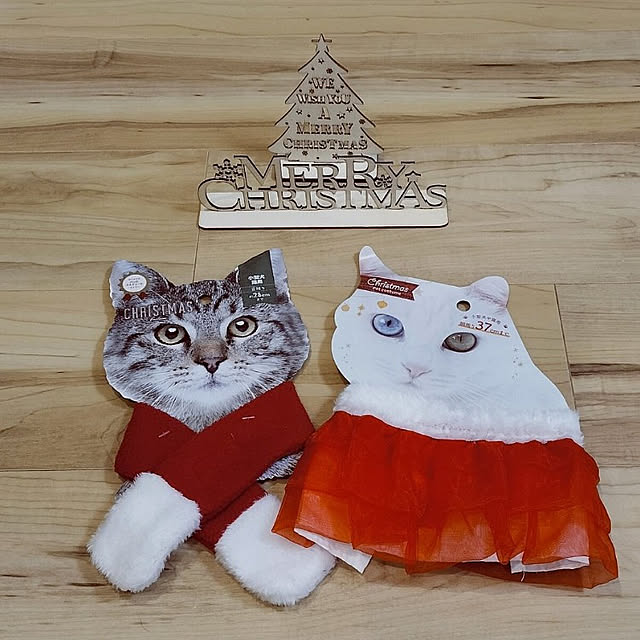 hihaさんの実例写真