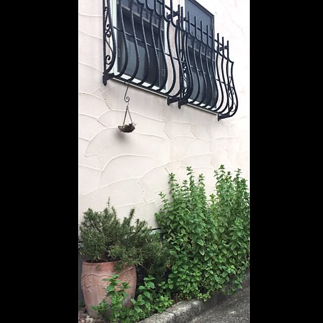 minanさんの実例写真