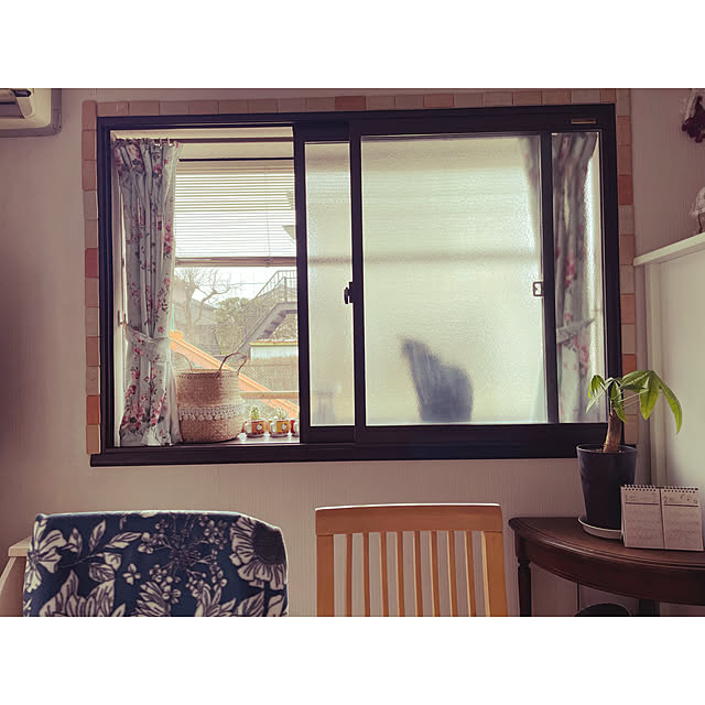 momocchiさんの実例写真